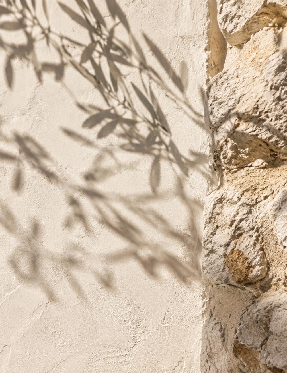 Whitewashed wall and natural stone in Mediterranean light